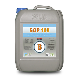 Бор 100 (кислий) ЛАЙФ БІОХЕМ, 10 л