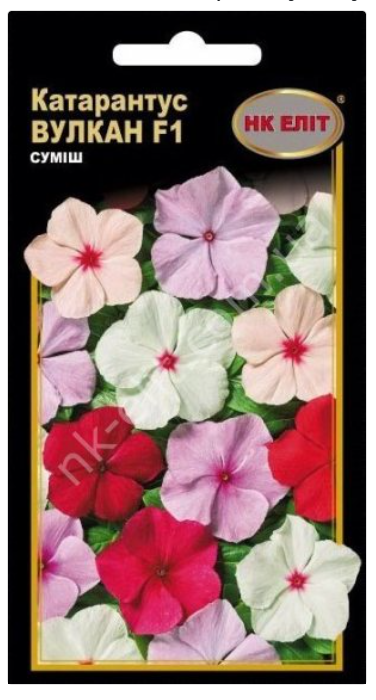 Насіння Катарантус "Вулкан" суміш F1 10 шт.