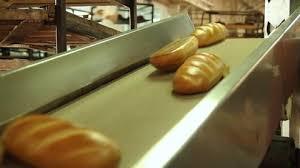 Транспортерна харчова стрічка Habasit  для транспортування готової продукції