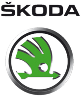 Спойлер на заднє скло Skoda