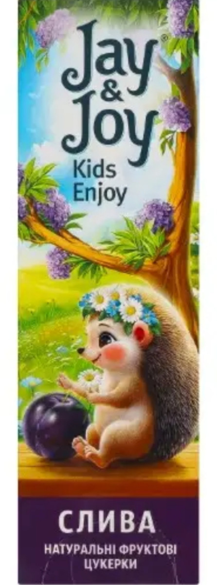Пастила сливова Jay&Joy, 32 г (Джей Джой)