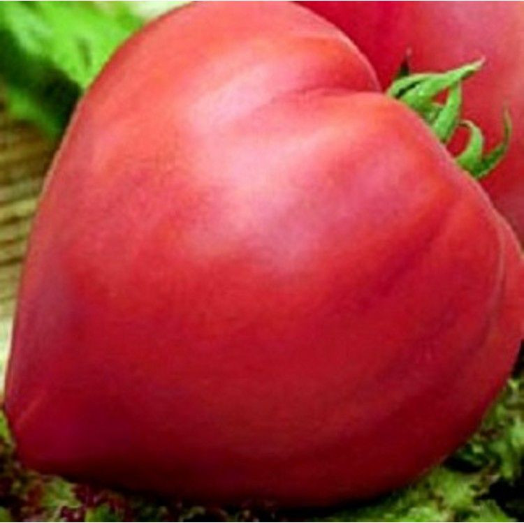 Томат "Вельможа" 30шт