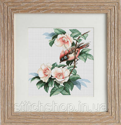 B299 Пташка у квітах. Luca-S. Набір для вишивання нитками, фото 1