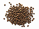 Кава Уганда Бугіду 1 кг свіжообсмажене зерно, фото 2
