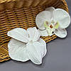 Квітка орхідеї тканинна 8,5 см - біла, фото 2