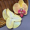 Квітка орхідеї тканинна 8,5 см - жовта, фото 2