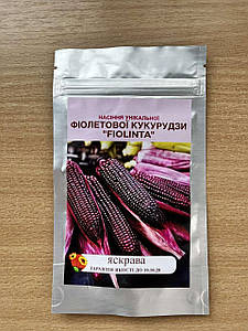 Насіння унікальної фіолетової кукурудзи «Fiolinta»