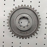 Шестерня 1 передачі та заднього ходу КПП ЮМЗ (пр-во Білорусь), фото 2