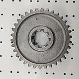 Шестерня 1 передачі та заднього ходу КПП ЮМЗ (пр-во Білорусь), фото 4