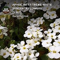 Арабіс Літтл Треже white Syngenta Flowers - (5 шт zip-пакет)