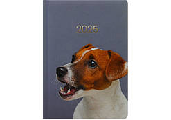 Щоденник датований 2025 А5