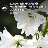 Дельфініум махровий Магічний Фонтан pure white Benary - (5 шт zip-пакет)