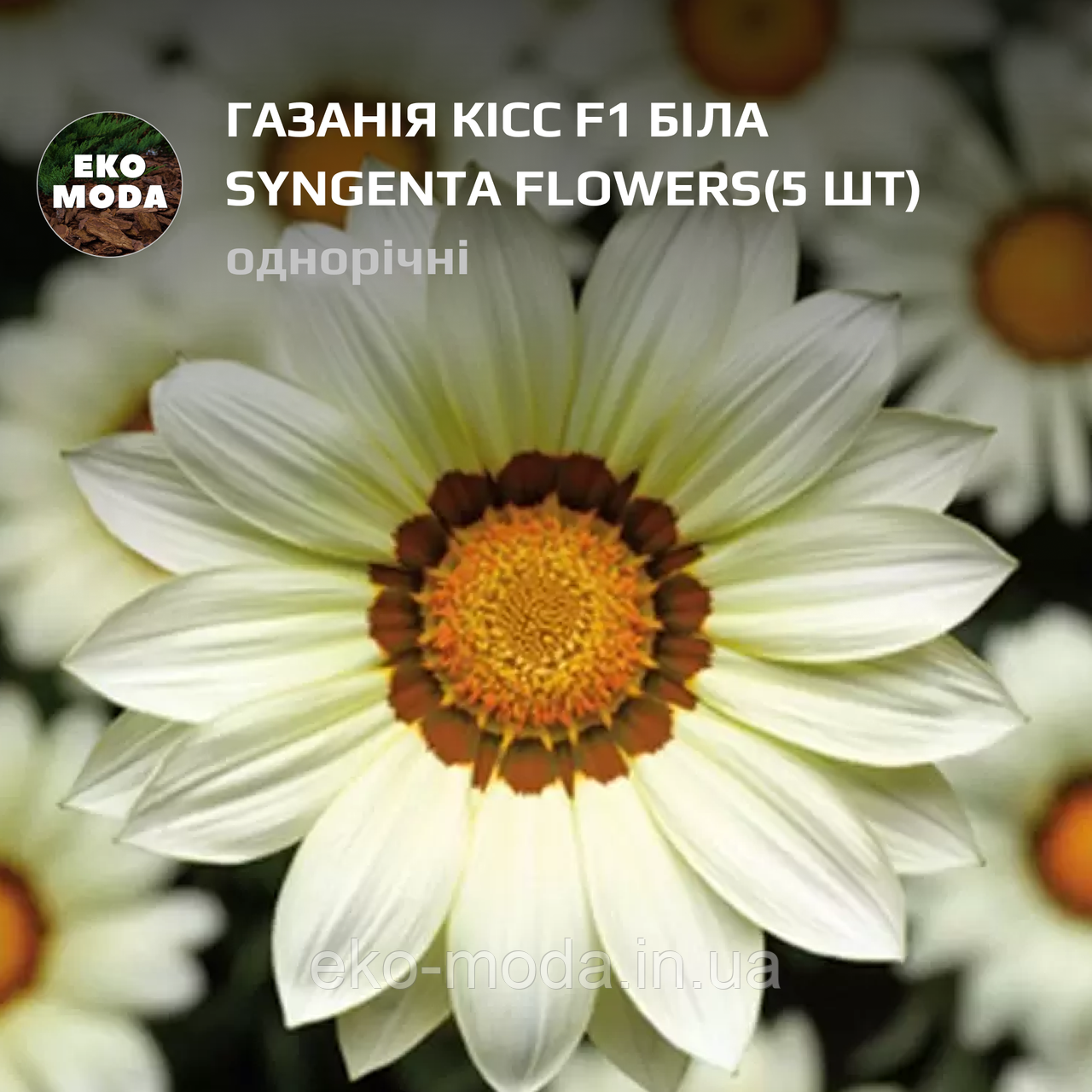 Газанія Кісс F1 біла Syngenta Flowers - (5 шт zip-пакет)
