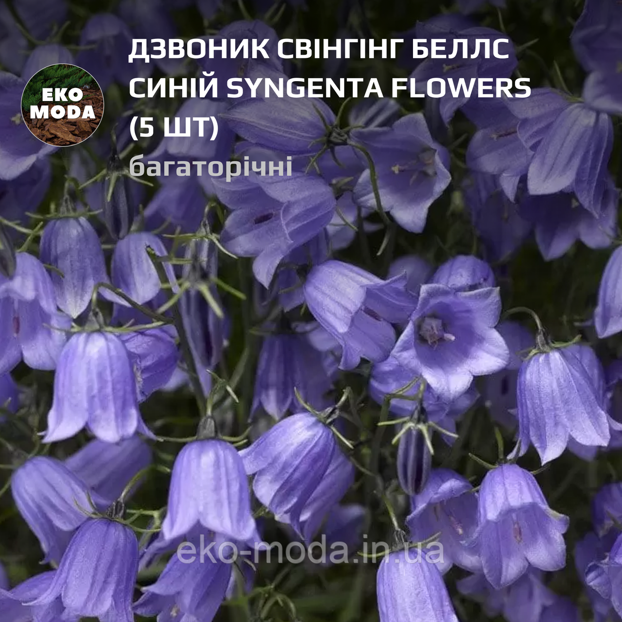 Дзвоник Свінгінг Беллс синій Syngenta Flowers - (5 шт zip-пакет)