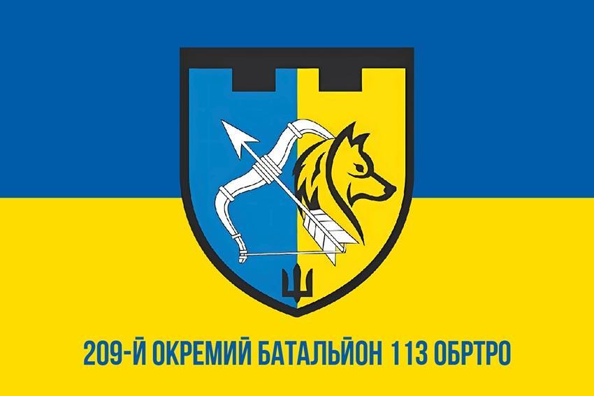 Прапор 209 ОБ 113 ОБрТрО ЗСУ синьо-жовтий 1