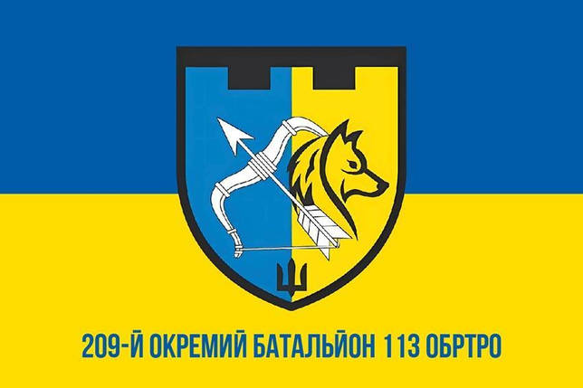 Прапор 209 ОБ 113 ОБрТрО ЗСУ синьо-жовтий 1, фото 1