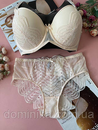 80/85/90/95/100D Комплект жіночої білизни з мереживом на чашку D бежевий, фото 1