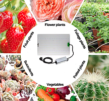 Фітолампи для рослин Grow Board