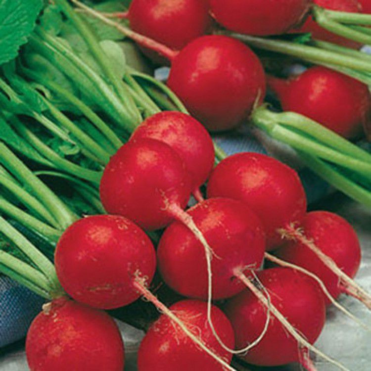 Насіння Редиска "Сора" 3 г.