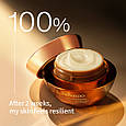 Косметичний набір з концентрованим женьшенем Sulwhasoo Concentrated Ginseng Anti-Aging Daily Routine, фото 9