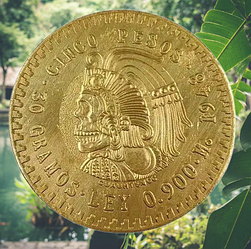 Сувенір монета Cinco Pesos Mexicanos Gold Долар США Моган "Череп Вождя Ацтеков". монета на удачу