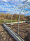 Каркас 5х20м теплиці полікарбонатної "Западенська 5+", фото 7