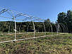 Каркас 5х20м теплиці полікарбонатної "Западенська 5+", фото 8