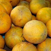 Насіння дині Душа 15 нас