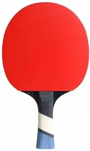 Ракетка для настільного тенісу Cornilleau Cornilleau Perform 500 Indoor