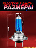 Автолампи H7 55W 500 K галогенові + ксенонові капсули, фото 6