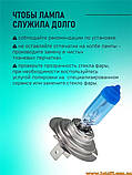 Автолампи H7 55W 500 K галогенові + ксенонові капсули, фото 9