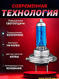 Автолампи H7 55W 500 K галогенові + ксенонові капсули, фото 3