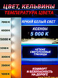 Автолампи H7 55W 500 K галогенові + ксенонові капсули, фото 4