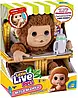 Іграшка Little Live Pets Interaktywna Małpka Mango Cobi, фото 7