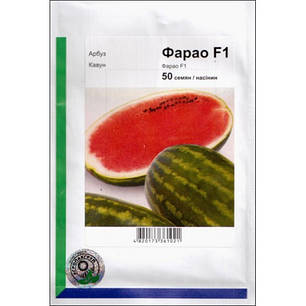 Насіння кавуна Фарао F1, 50 нас — (65-70 дн), подовженої форми,СОЛОДКИЙ! вага 15-18 (до 35)кг, фото 2