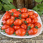 Томат Гора Везувій Італія 5 шт (zip-paket), фото 4