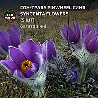 Сон-трава Pinwheel синя Syngenta Flowers - (5 шт zip-пакет)