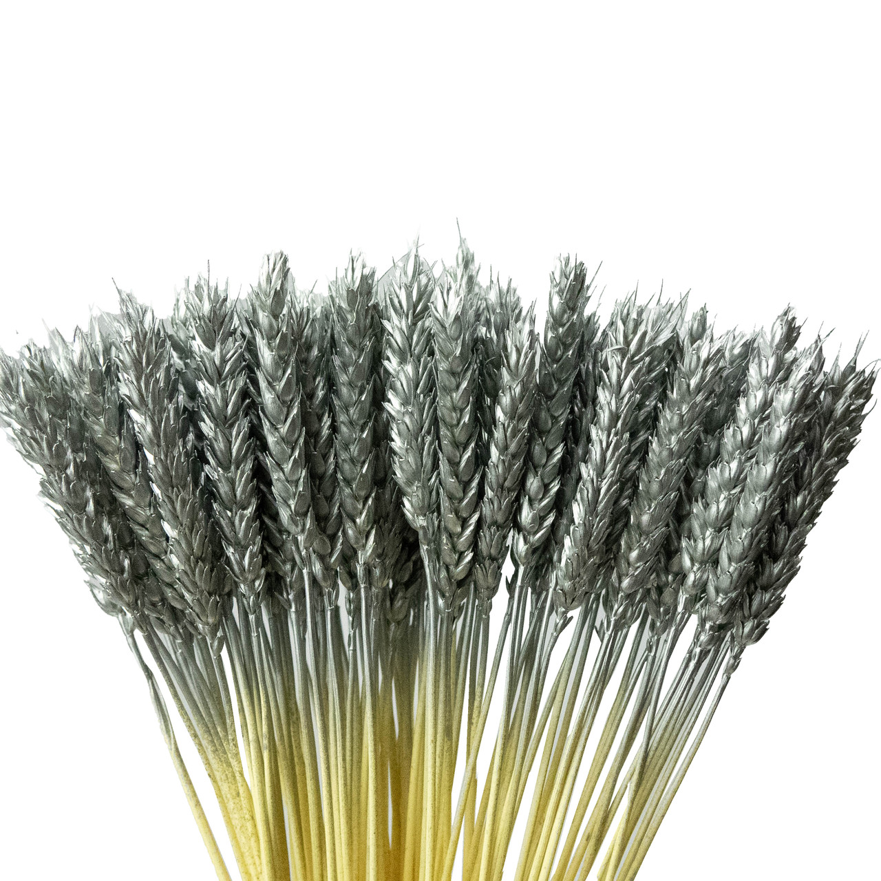 Колоски пшениці декоративні (15 штук, срібні)