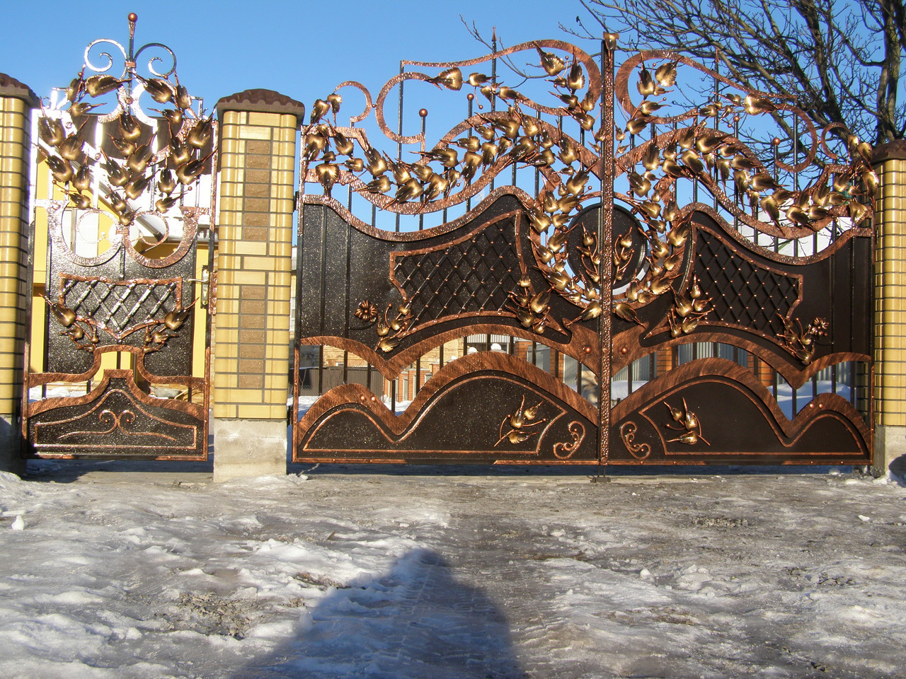 Ворота ковані Астра