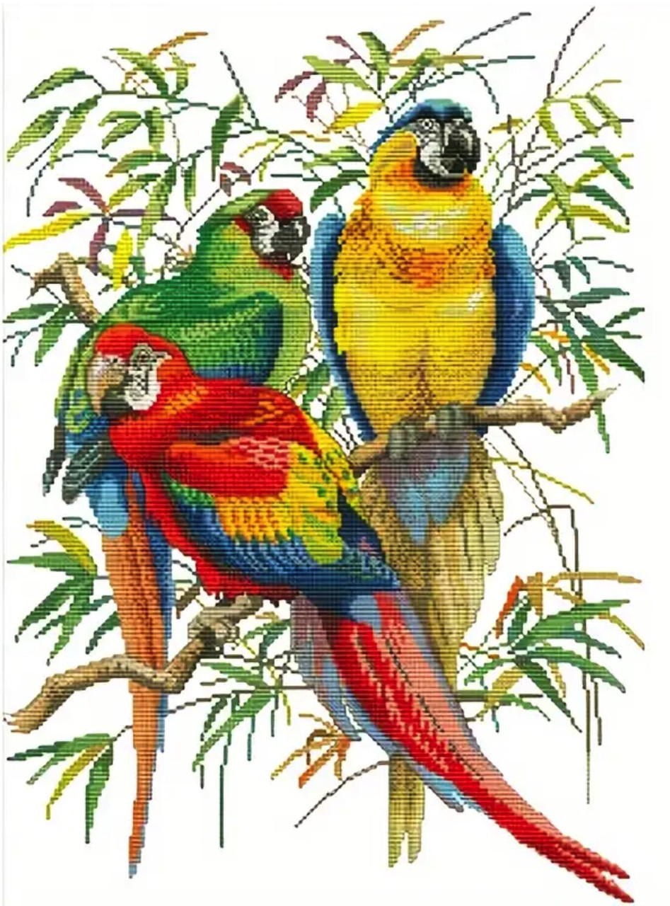 Набір для вишивання за нанесеною на канву схемою "Parrot".AIDA 11CT printed , 35*50 см, фото 1