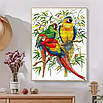 Набір для вишивання за нанесеною на канву схемою "Parrot".AIDA 11CT printed , 35*50 см, фото 2