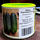 Огірок Воргебірдштраубен Германія 100 шт (zip-paket), фото 6