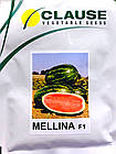 Кавун Меліна F1 (суперранній) Clause 10 шт (zip-paket), фото 4
