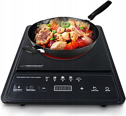 Індукційна плита Esperanza EKH009 (Польща)