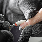 Фрезер для манікюру MalTec ND-4 220V (Польща), фото 3