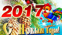 С новым 2017 годом!