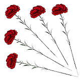 Бархатна гілка гвоздики, 60см, фото 2