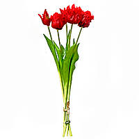 Тюльпани латексні махрові букет 5 квіток червоний