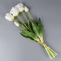 Тюльпани латексні махрові букет 5 квіток білий