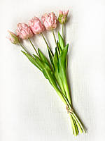 Тюльпани латексні махрові букет 5 квіток пудровий